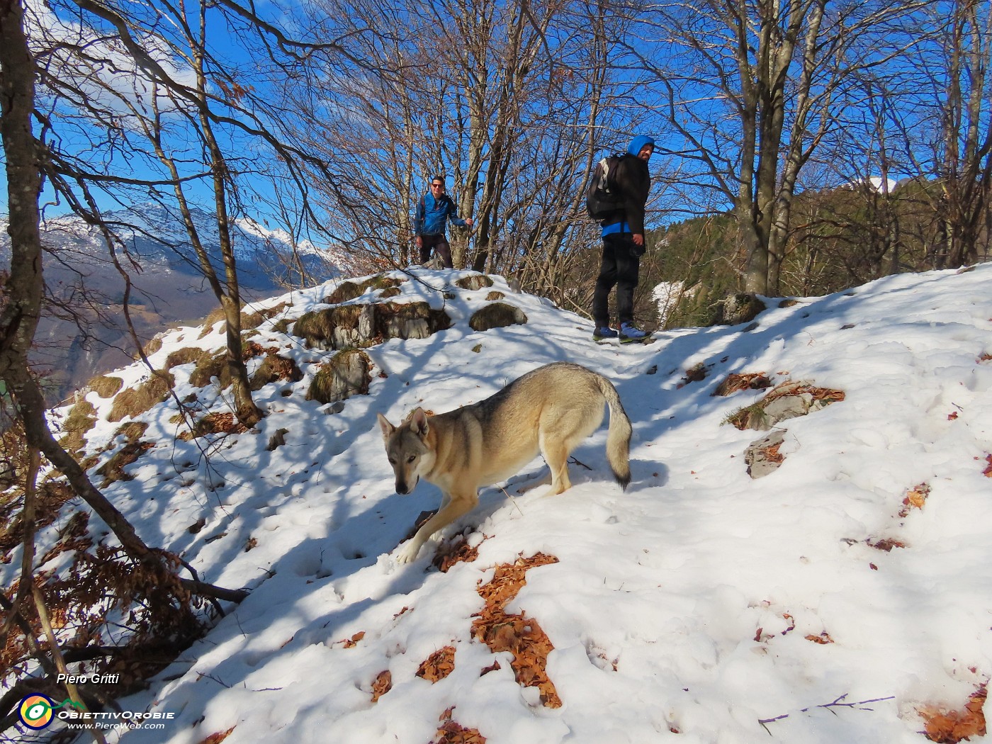 20 Ma che bello camminare sulla neve fresca!.JPG